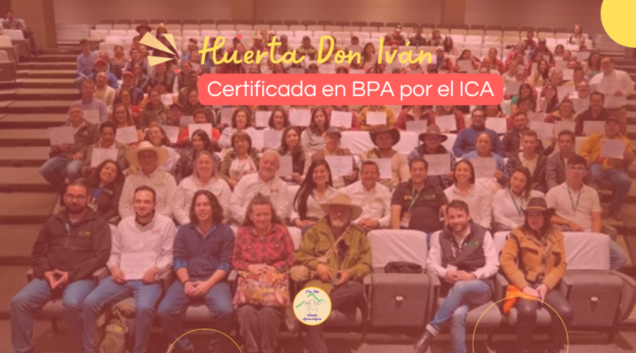 HUERTA DON IVAN CERTIFICADA EN BPA POR EL ICA